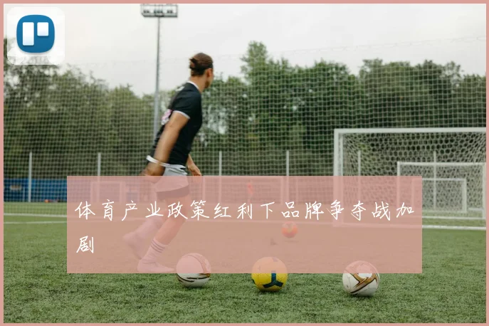 体育产业政策红利下品牌争夺战加剧