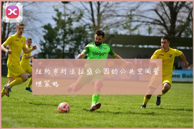 纽约市对法拉盛公园的公共空间管理策略