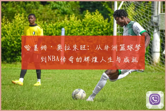 哈基姆·奥拉朱旺：从非洲篮球梦想到NBA传奇的辉煌人生与成就