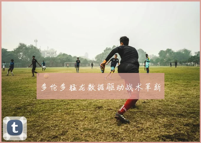 多伦多猛龙数据驱动战术革新