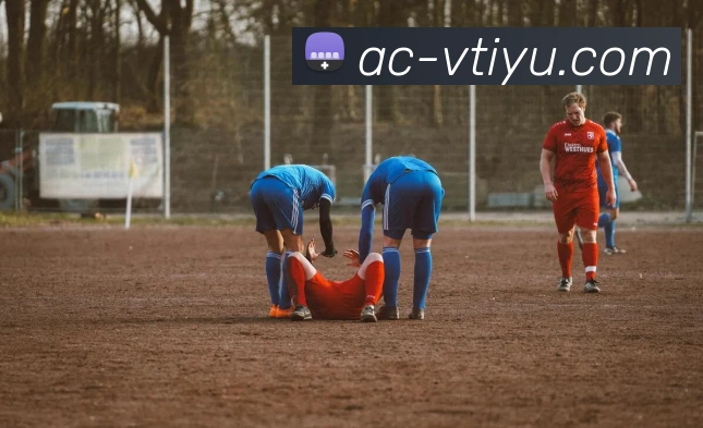 vtiyu服务体系